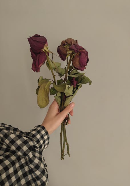 A person's hand, clad in a black and white checkered sleeve, is holding a small bouquet of wilted flowers against a plain, light-colored wall. The bouquet consists of several dark purple and faded bro
