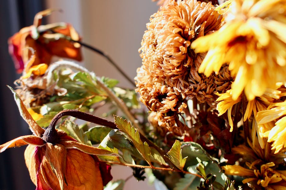 A close-up view of a dried floral arrangement featuring a variety of flowers and foliage. Prominent in the image are large, brownish-orange chrysanthemum blooms with tightly packed petals, complemente